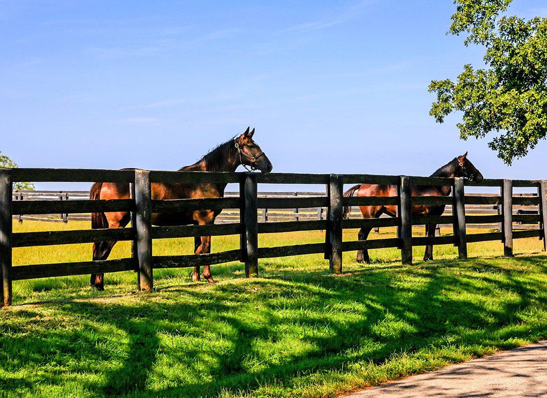 About Our Agency - View of Two Brown Horses Standing Next to an Old Wooden Fence in the Kentucky Countryside on a Sunny Summer Day